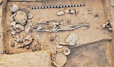 திராவிடர் ஓர் ஆய்வு