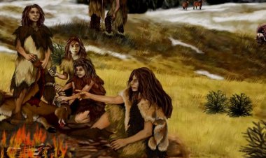 Who Were the Neanderthals and Why Did They Go Extinct?
