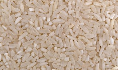 செறிவூட்டப்பட்ட அரிசி: ஏன் இந்த அவசரம்?