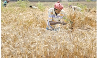 மேற்கு வங்கம்: மாறிவரும் கிராம பொருளாதாரம்