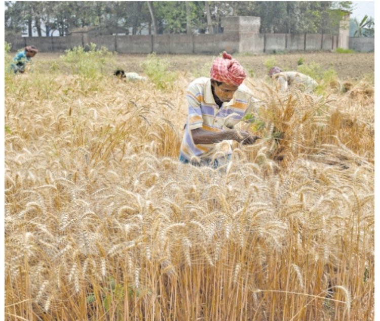 மேற்கு வங்கம்: மாறிவரும் கிராம பொருளாதாரம்