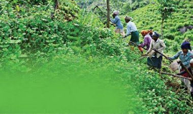 வனமும், வனச்சட்டமும் யாருக்கானது?