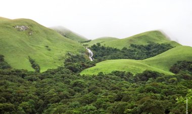 கார்ப்பரேட்டுகள் இயற்கை வளங்களை சூறையாட அனுமதிக்கும் புதிய காலனிய வனப் பாதுகாப்பு மற்றும் பல்லுயிர் பெருக்க சட்டங்களை எதிர்ப்போம்!