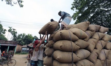 இந்தியாவின் அரிசி ஏற்றுமதியை கட்டுப்படுத்தும் அமெரிக்கா
