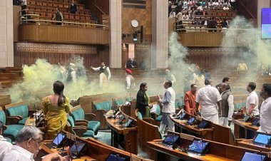 நாடாளுமன்றத்தில் வண்ணப் புகை வீச்சு: வேலையில்லாத் திண்டாட்டத்தின் வெளிப்பாடு