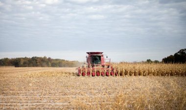 அமெரிக்காவில் சீனாவுக்கு சொந்தமாக உண்மையில் எவ்வளவு விவசாய நிலங்கள் உள்ளன?