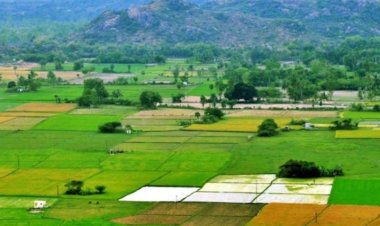 இந்தியாவிலேயே யாரிடம் அதிக நிலம் உள்ளது?