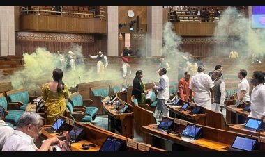 நாடாளுமன்றமும் போலி ஜனநாயகமும்