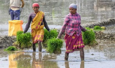 விவசாயிகள் போராட்டம்: இது அடிமைத்தனத்திற்கு எதிரான போராட்டம்