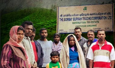 சிறப்புக் கட்டுரை: கார்ப்பரேட்டுகளின் பிடியில் மேற்கு தொடர்ச்சிமலை!  வெளியேற்றப்படும் மாஞ்சோலை மக்கள்!