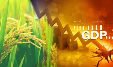 இந்திய அரசியல் பொருளாதாரத்தில் ஆர்வமுடையவர்களுக்கு மட்டும் - தினமணி கட்டுரைபற்றி!