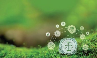 நவதாராளமயமாகும் சூழலியல் சட்டங்கள்