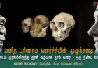 மனித பரிணாம வளர்ச்சியின் முழுக்கதை