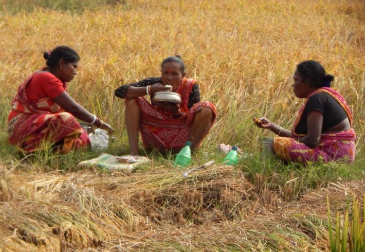 ஏமாற்றமளிக்கும் பட்ஜெட், வேலையில்லாத் திண்டாட்டத்தை எதிர்கொள்ளும் பெண்களும், இளைஞர்களும் புறக்கணிக்கப்பட்டுள்ளனர்: AIDWA