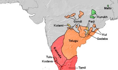 'மூல திராவிடம்' தமிழே! 'மூல திராவிட இனம்' தமிழ் இனமே! இவை இரண்டும் நமது விருப்பமா? அல்லது அறிவியல் அடிப்படையிலான ஆய்வு முடிவுகளா?