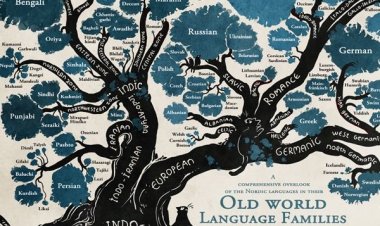 மூலமொழி நடைமுறையில் நீடிக்கிற அல்லது நீடித்த மொழி இல்லை. ஆய்வில் முன்வைக்கப்படுகின்ற ஒன்றே!