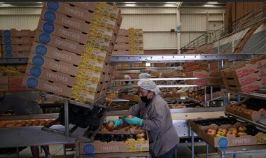 ட்ரம்ப்பின் 50% வரிவிதிப்பால் 48 பில்லியன் அமெரிக்க டாலர் மதிப்புள்ள இந்திய ஏற்றுமதிகளுக்குப் பெரும் பாதிப்பு – மத்திய அரசு அறிக்கை