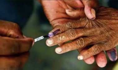 சிறப்பு தீவிர திருத்தம் (SIR) என்றால் என்ன? அதன் ஆபத்துகள் யாவை? - கட்டுரை தொகுப்புகள்