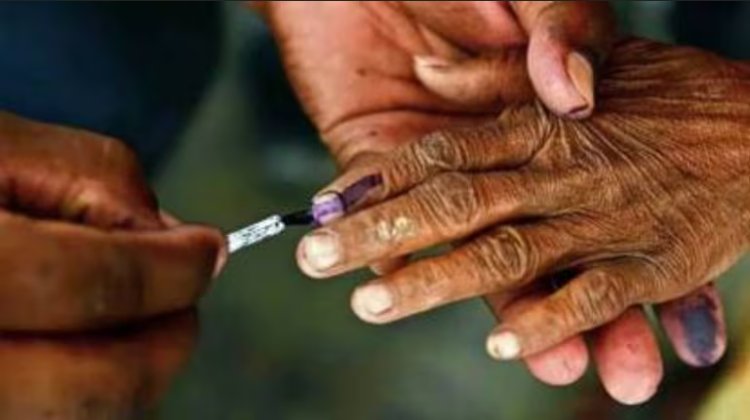 சிறப்பு தீவிர திருத்தம் (SIR) என்றால் என்ன? அதன் ஆபத்துகள் யாவை? - கட்டுரை தொகுப்புகள்