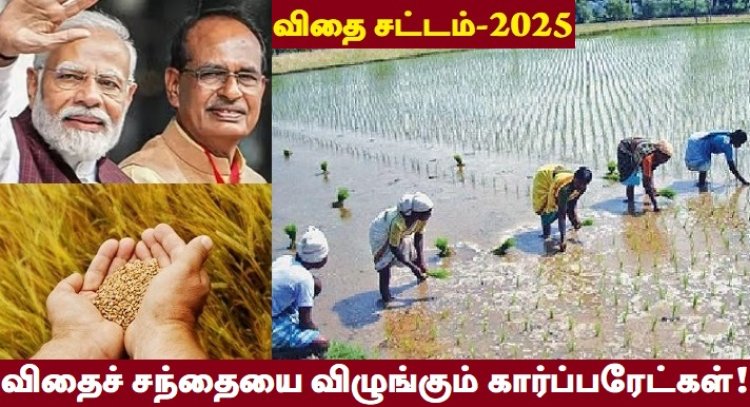 விதை சட்டமா? விவசாயத்தை சிதையில் வைக்கும் திட்டமா?