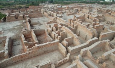 சிந்து சமவெளி நாகரிகத்தின் வீழ்ச்சிக்கு வறட்சியே முக்கியக் காரணம்