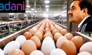 முட்டை உற்பத்தியில் அதானி! நடுக்கத்தில் நாமக்கல்!