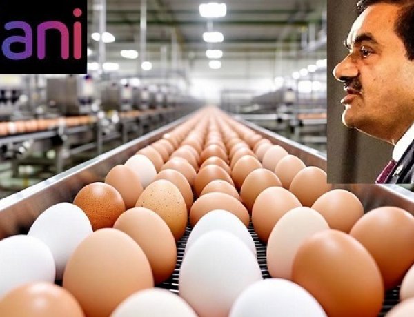 முட்டை உற்பத்தியில் அதானி! நடுக்கத்தில் நாமக்கல்!