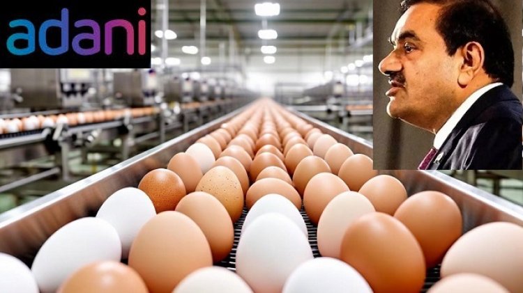 முட்டை உற்பத்தியில் அதானி! நடுக்கத்தில் நாமக்கல்!