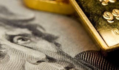 தங்க ஆணை: அமெரிக்க செல்வாக்கின் கீழ் வெனிசுலாவின் செல்வத்தைப் பாதுகாத்தல்