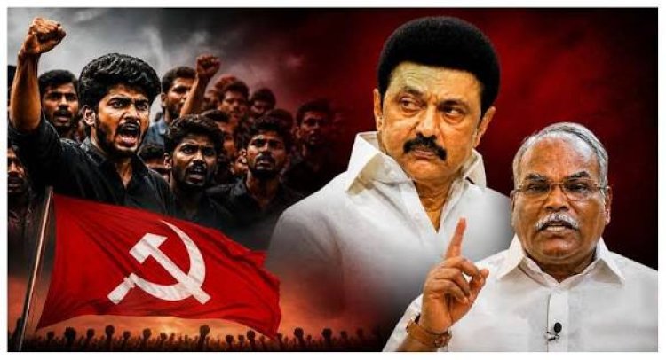 தமிழ்நாட்டில் இளைஞர்கள் எழுச்சி !
