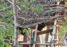 தரங்கம்பாடி அருகே காதலர்கள் ஆணவப்படுகொலை..?