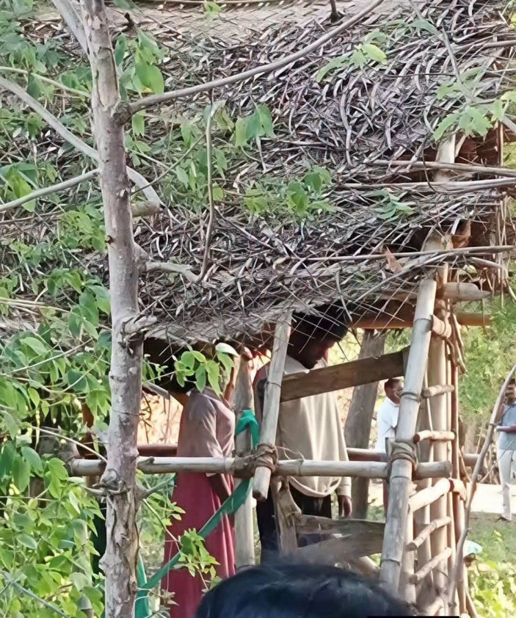 தரங்கம்பாடி அருகே காதலர்கள் ஆணவப்படுகொலை..?