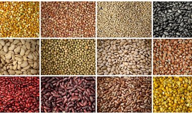அரிசி-பால்-சர்க்கரை-கொத்தமல்லி-சூரியகாந்தி எண்ணெய்: தென்னக மாநிலங்களில் புதிய உச்சத்தைத் தொட்ட விலைகள்