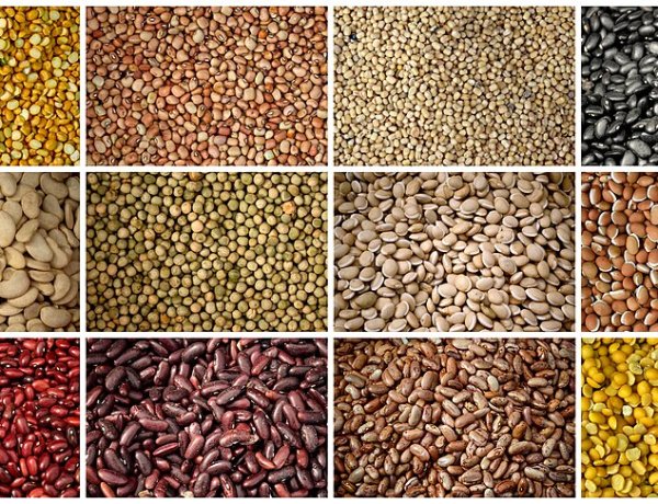 அரிசி-பால்-சர்க்கரை-கொத்தமல்லி-சூரியகாந்தி எண்ணெய்: தென்னக மாநிலங்களில் புதிய உச்சத்தைத் தொட்ட விலைகள்