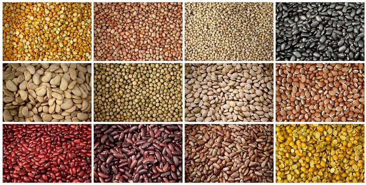 அரிசி-பால்-சர்க்கரை-கொத்தமல்லி-சூரியகாந்தி எண்ணெய்: தென்னக மாநிலங்களில் புதிய உச்சத்தைத் தொட்ட விலைகள்